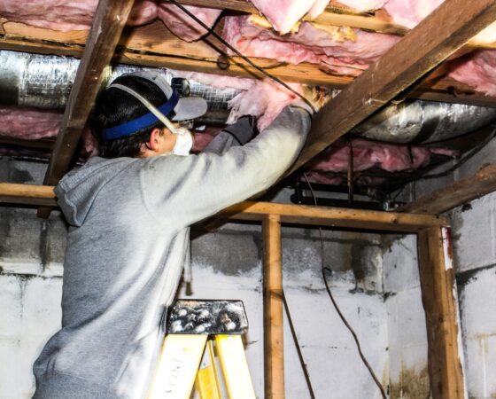 499416670 1282712993859210 970245913873479509 n