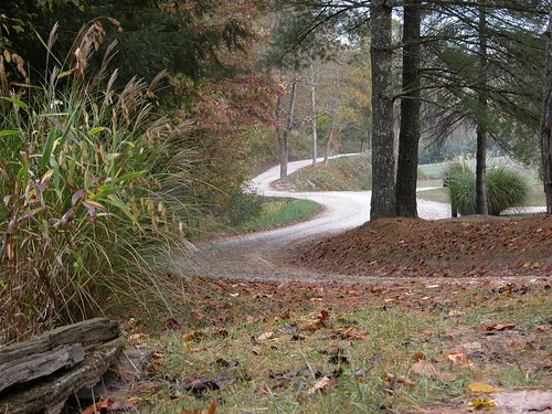 Road in Breathitt County, KY