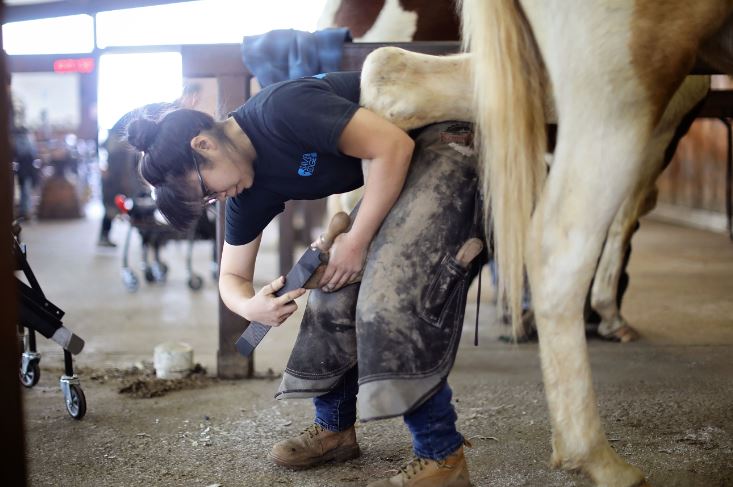 A farrier student at the Kentucky Horseshoeing School. MACED supports the school with an affordable business loan