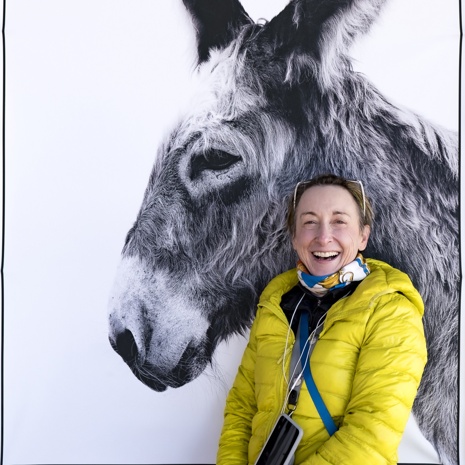 Monica Stevenson Photography