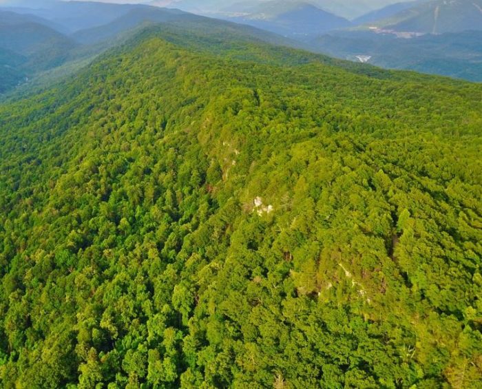 pine mountain kentucky natural lands trust knlt mountain association