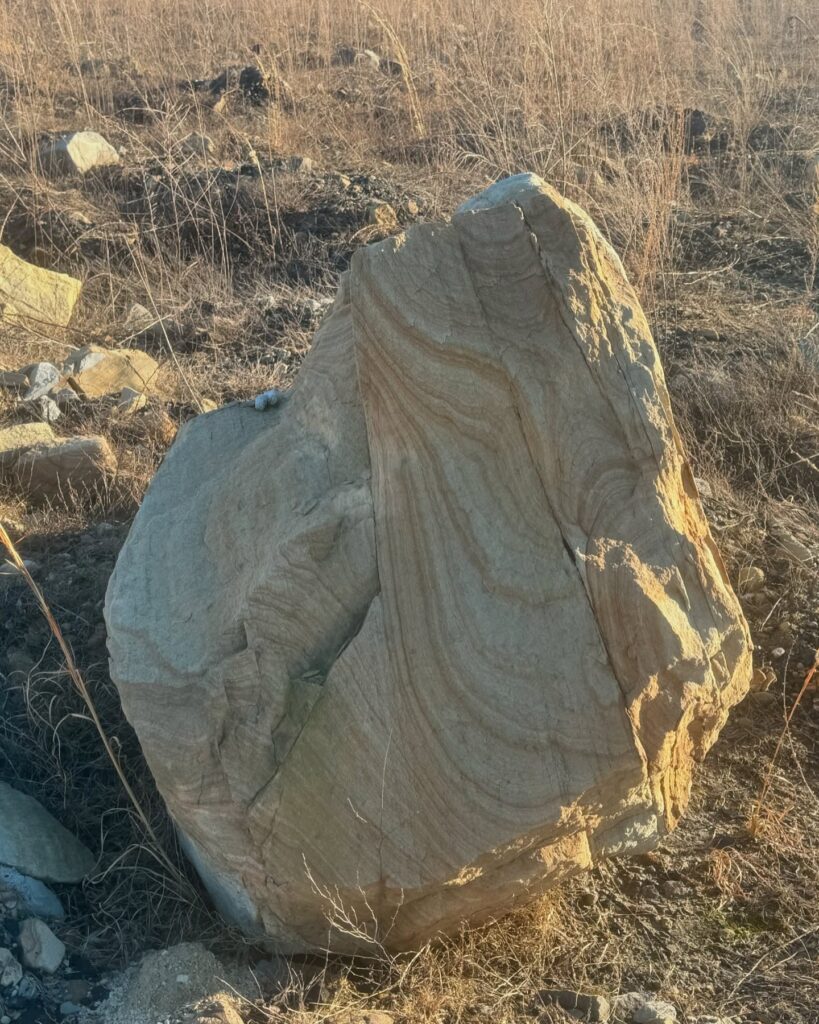 a piece of beautiful sandstone that they uncovered