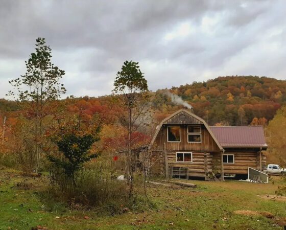 Sylvatica Forest Farm KY