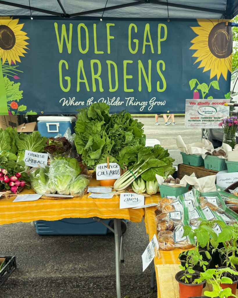 wolf gap gardens madison county ky