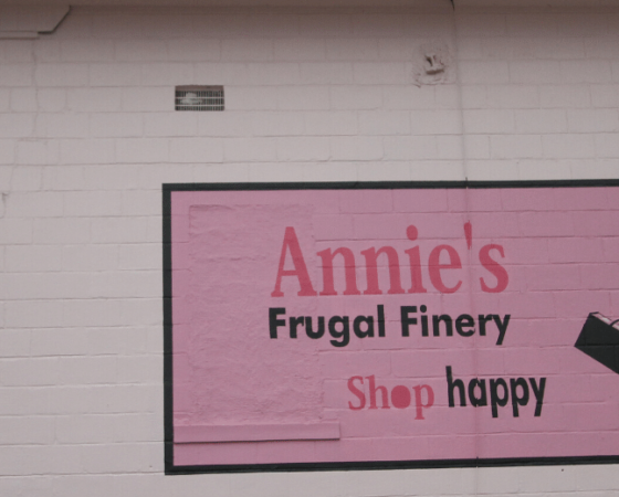 Annie's Frugal Finery solar in Letcher County