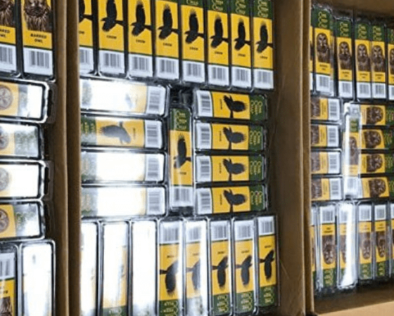 Cane Creek Calls in Jenkins Kentucky Letcher County