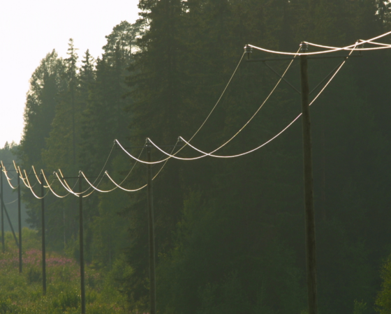 Rural electric coop kentucky 1
